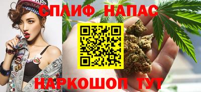 эйфоретик Аша