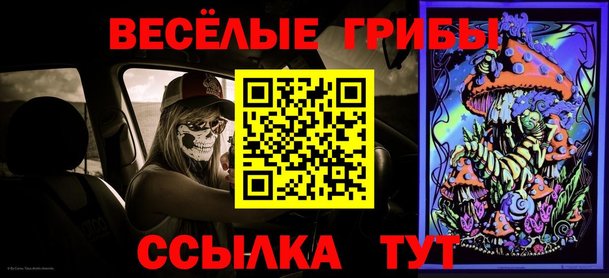 Галлюциногенные грибы Magic Shrooms  Вход с VPN  Кизляр 