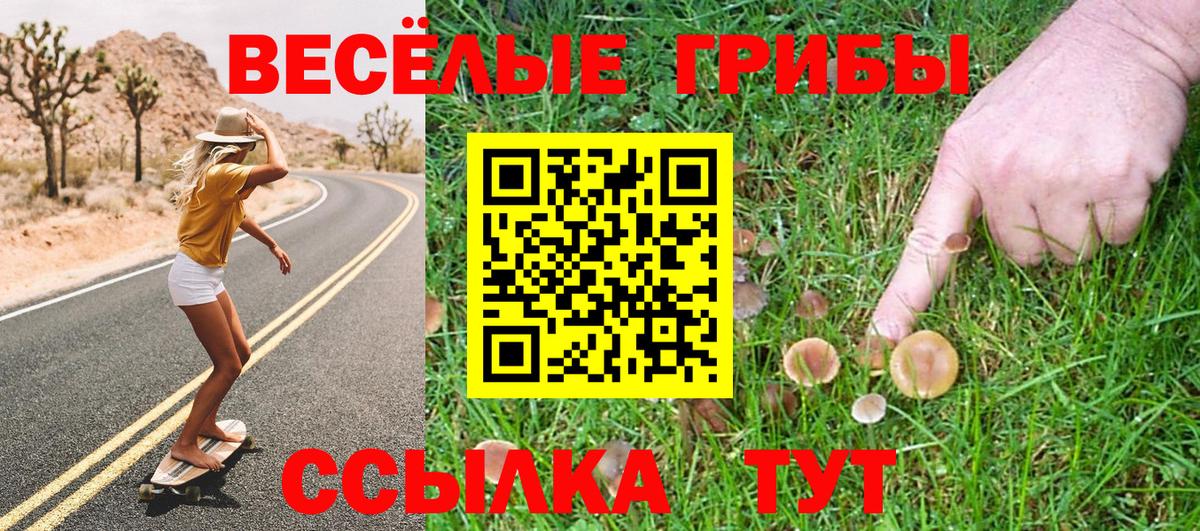Псилоцибиновые грибы GOLDEN TEACHER Кизляр